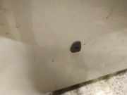 Waschwasserdüse Scheibenreinigung Volvo S40, 2000.07 - 2003.12 Gebraucht,