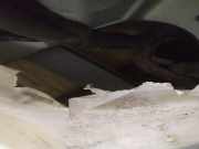 Fensterheber - Vorne Linke Chevrolet Captiva, 2006.01 - 2011.06 Gebraucht,