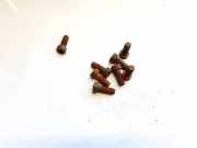 Schwungradschraube Toyota Aygo, 2005.07 - 2009.12 Used,Used