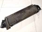 Ladeluftkühler Nissan Primera, P12 2002.01 - 2008.12 b9237000, 14461aw300