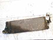 Ladeluftkühler Renault Grand Scenic, I 2003.01 - 2009.12 Gebraucht,