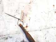 Stabilisator Vorne Citroen C4 Picasso, I 2006.01 - 2013.06 Gebraucht,