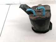 Aktivkohlefilter Fiat Punto, 1999.09 - 2005.10 Gebraucht ,