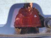 Zusatzbremsleuchte Toyota Avensis, II 2003.04 - 2006.03 Gebraucht,