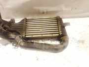Ladeluftkühler Opel Astra, G 1998.09 - 2004.12 09129519DX,