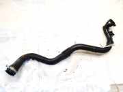 Kühlerschlauch Renault Megane, II 2002.11 - 2006.06 001751,