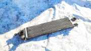 Ladeluftkühler Nissan Qashqai, I 2006.01 - 2010.06 14461JD50A, G3062003