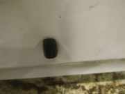 Waschwasserd?se Scheibenreinigung Toyota Corolla Verso, III facelift 2007 - 2009 Gebraucht,