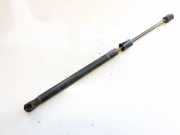 Gasdruckfeder Kofferraum Opel Astra, H 2004.03 - 2009.12 244638295133,244638295133