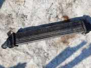 Ladeluftkühler Dodge Journey. 2009.01 - 2014.12 L9279001, L9279001 P5887001