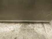 Zierleiste Tür Zier-Schutzleiste - Vorne Linke Citroen C5, II 2008.02 - 2011.01 Gebraucht,