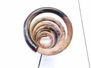 Fahrwerksfeder Hinterachse Audi A6, C5 2001.08 - 2005.01 facelift Gebraucht,