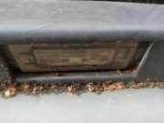 Kennzeichenleuchte Renault 19, 1992.06 - 1995.10 Gebraucht,