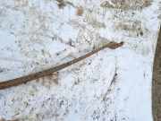 Blattfeder Hinten Ford Transit, III 2000.01 - 2006.04 Gebraucht,