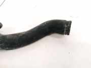 Kühlerschlauch Nissan Almera Tino 2003.09 - 2006.12 facelift Gebraucht,