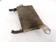 Kraftstoffkühler Kraftstoff Kühler Toyota RAV-4, III 2005.11 - 2012.12 Gebraucht,