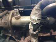 Abgaskühler AGR-Kühler Volvo V50, 2004.04 - 2007.05 Gebraucht,