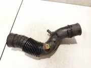 Schlauch für Luftversorgung Renault Megane, I 1995.11 - 1999.02 7700866642,