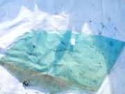 Seitenscheibe - Vorne Linke Peugeot 508, 2010.11 - 2018 as2,