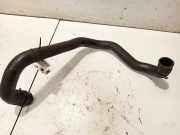 Kühlerschlauch Skoda Octavia, II 2004.02 - 2009.03 3b0122291,