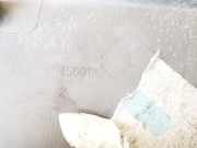 T?rverkleidung - Hinten Linke Renault Scenic, II 2003.06 - 2006.06 156018052a,8200235837