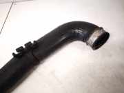 Intercooler Schlauch Volkswagen Golf Plus, 2005.01 - 2008.05 1k0145838c, BKC