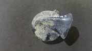 Hupe Opel Vectra, B 1995.09 - 2000.09 A28657625,