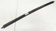 Zierleiste Leiste - Hinten Linke Citroen Xsara Picasso, I 1999.12 - 2004.05 Gebraucht,