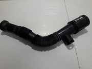 Schlauch für Luftversorgung Renault Laguna, I 1994.01 - 2001.03 7700861991,7700865671