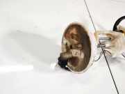 Kraftstoffpumpe Hyundai Santa Fe, 2006.03 - 2012.09 Gebraucht,