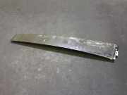 Zierleiste Leiste - Hinten Rechts Volkswagen Passat, B5+ 2000.11 - 2005.05 Gebraucht,na