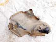 Unterfahrschutz Mazda CX-7, 2006.01 - 2012.12 eg2142298,