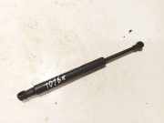 Gasfeder für Motorhaube BMW X6, E71E72 2008.01 - 2014.06 5147914912002,4905ya