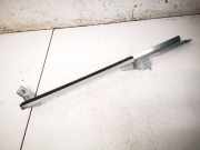 Zierleiste Leiste - Hinten Linke Nissan Juke, I F15 2010.06 - 2019.06 Gebraucht,