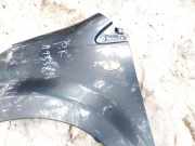 Kotfl?gel - Vorne Linke Toyota Aygo, 2005.07 - 2009.12 Pilka,