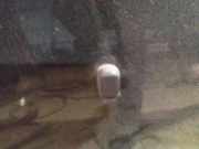 Waschwasserdüse Scheibenreinigung Ford S-Max, 2006.05 - 2014 Gebraucht,