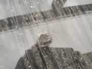 Waschwasserd?se Scheibenreinigung Alfa-Romeo 147, I 2000.11 - 2004.09 Gebraucht,usaed