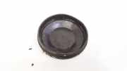 Blende Scheinwerfer - Vorne Renault Scenic, II 2003.06 - 2006.06 153874,