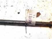 Stabilisator Stabi Hinten Hinterachse Ford Transit, III 2006.04 - 2012.12 facelift Gebraucht,