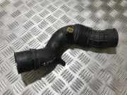 Schlauch für Luftversorgung Renault Megane, I 1995.11 - 1999.02 7700866642,