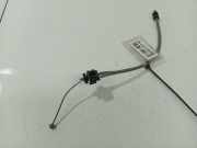 Seilzug ZUG Türschloss - Vorne Linke Renault Scenic, II 2003.06 - 2006.06 Gebraucht,