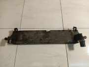 Ladeluftkühler Nissan Qashqai, I 2006.01 - 2010.06 G3062005,G3062005 14461-JD50B 14461JD50B