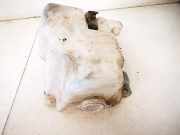 Scheibenwaschbehälter Vorne Wischwasserbehälter Mitsubishi L200, 1996.10 - 2007.12 Gebraucht,