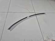 Zierleiste Leiste - Hinten Rechts Renault Laguna, II 2001.03 - 2006.05 Gebraucht ,