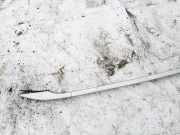 Dachreling Rechts Toyota Avensis, II 2003.04 - 2006.03 6346005032, 63460-05032