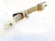 Haltegriff Haltegriff Verdeckgriff - Vorne Rechts Citroen Xsara Picasso, I 1999.12 - 2004.05 Gebraucht,