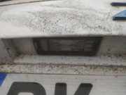 Kennzeichenleuchte Renault Zoe I 2012 - 2020.06 Gebraucht,