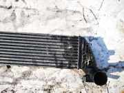 Ladeluftkühler Renault Laguna, II 2001.03 - 2006.05 Gebraucht,