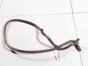 Kühlerschlauch Ford Transit, III 2000.01 - 2006.04 Gebraucht,