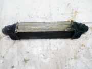 Ladeluftk?hler Ford Mondeo, 2000.11 - 2007.03 1s709l440af,1s70-9l440-af